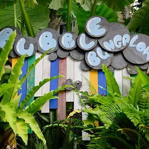 Resort Bubble, Ko Tao