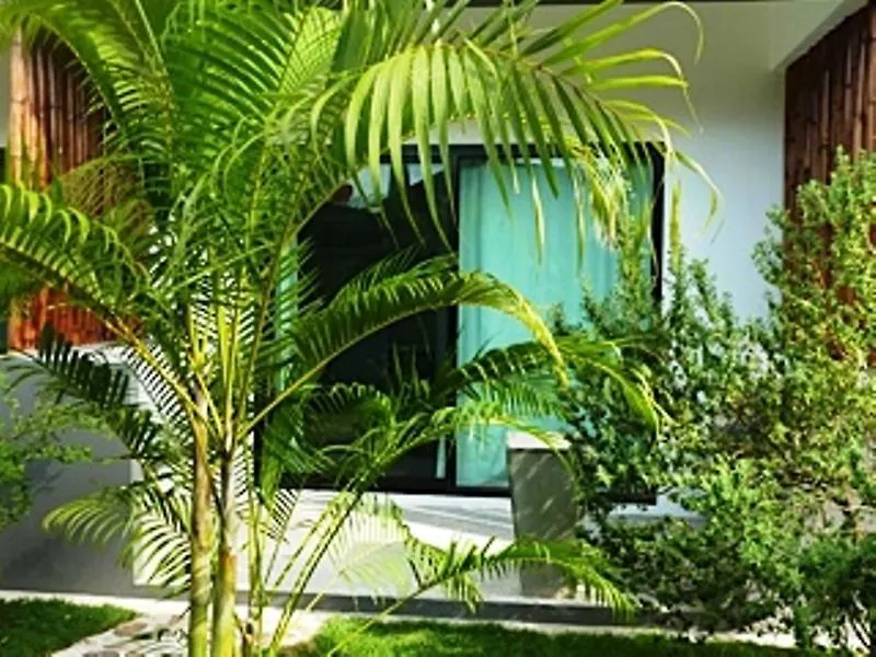 *** Konukevi Sairee Sairee Guesthouse Ko Tao Tayland