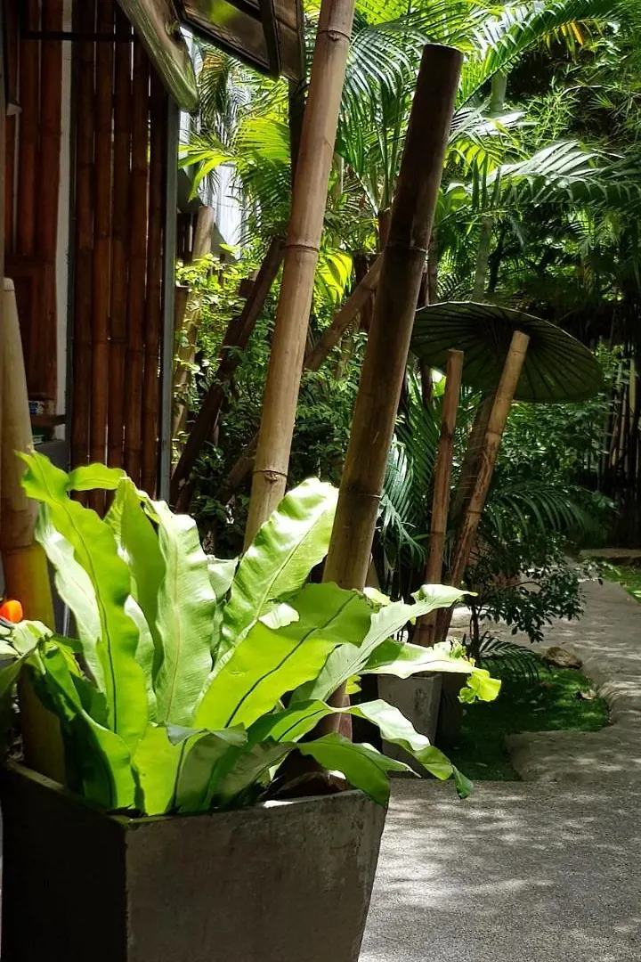 *** Konukevi Sairee Sairee Guesthouse Ko Tao Tayland