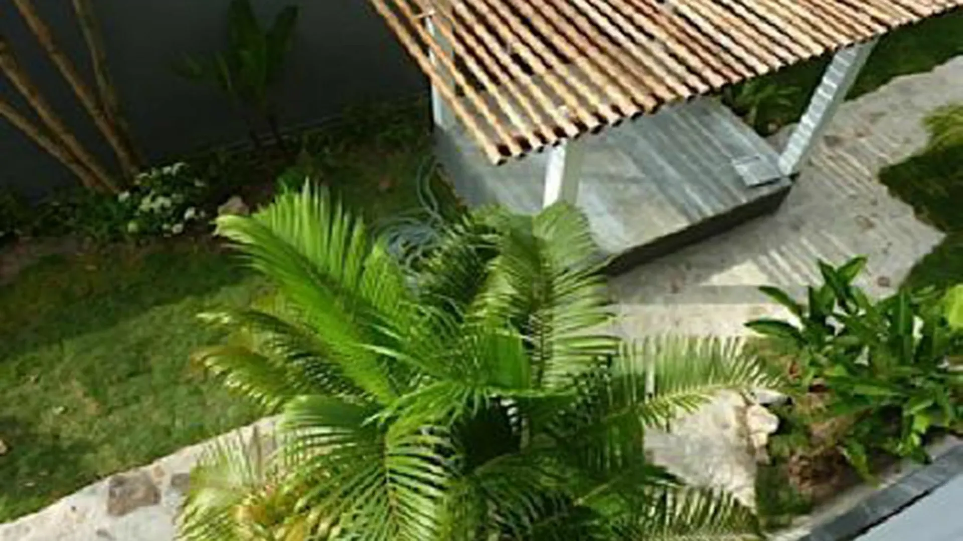 Sairee Sairee Guesthouse Ko Tao