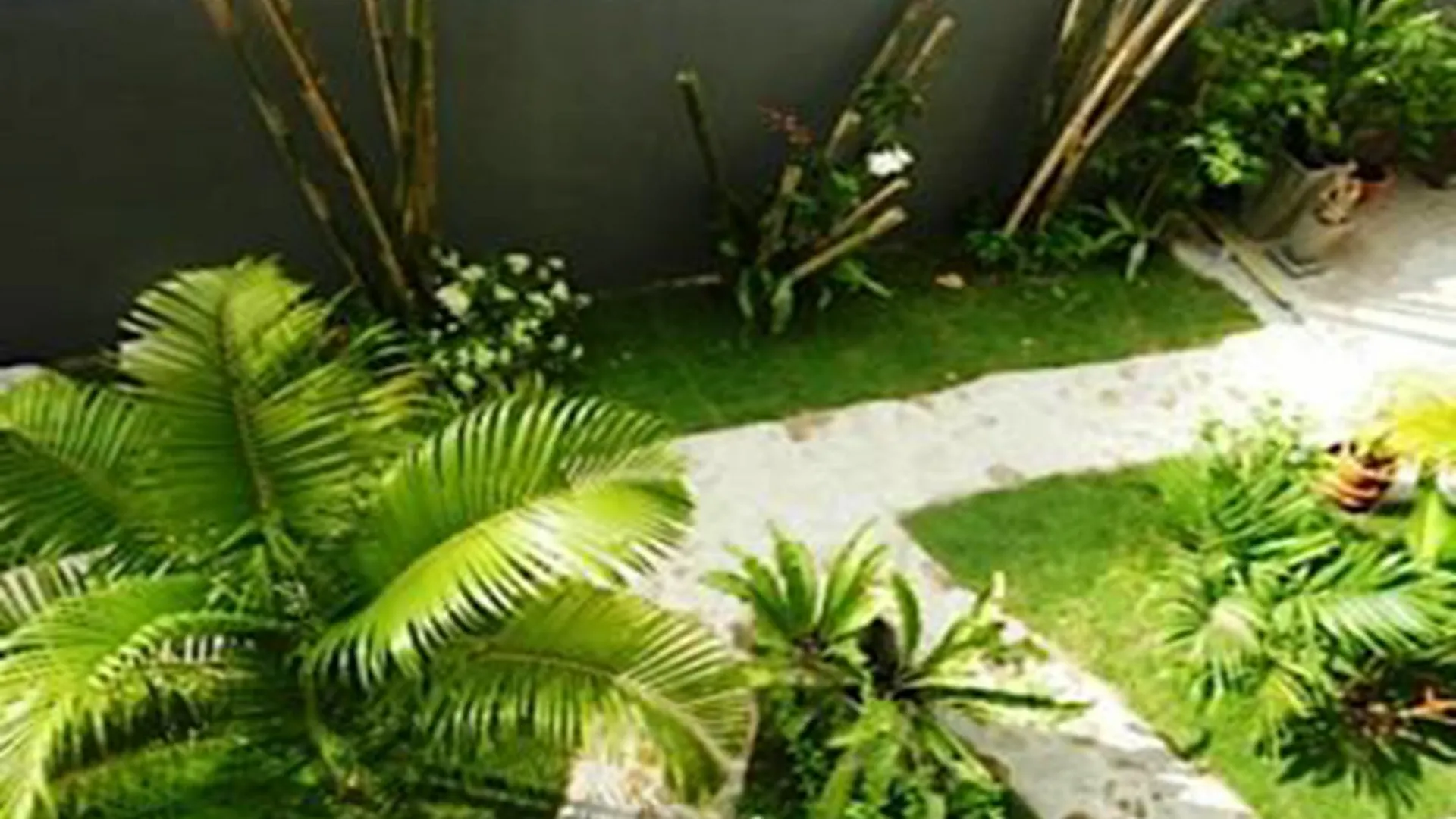 Konukevi Sairee Sairee Guesthouse Ko Tao